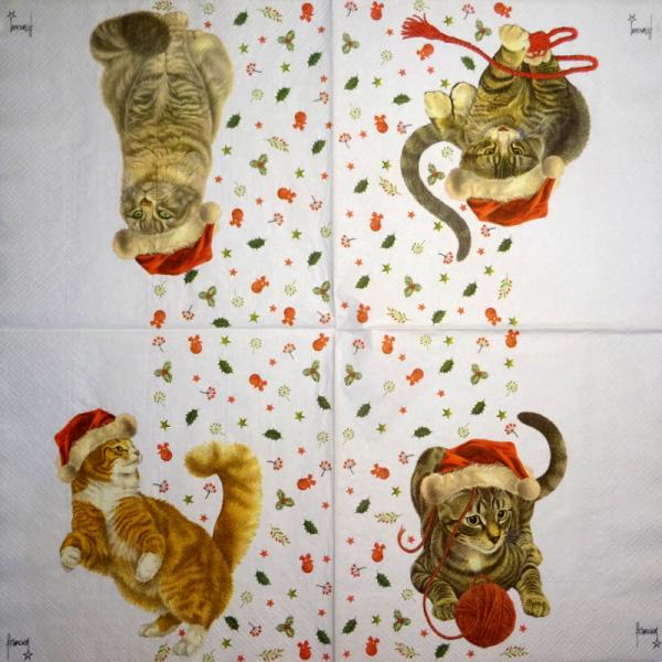 999.177 Cats - 3-ply - Marque Deposee 2008 - Clouet